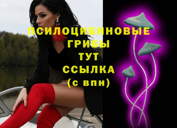 спиды Беломорск