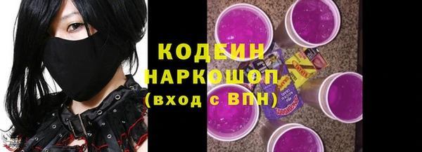прущие грибы Белокуриха