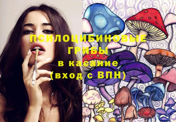 прущие грибы Белокуриха