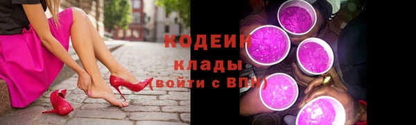 прущие грибы Белокуриха