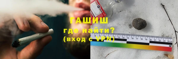 прущие грибы Белокуриха