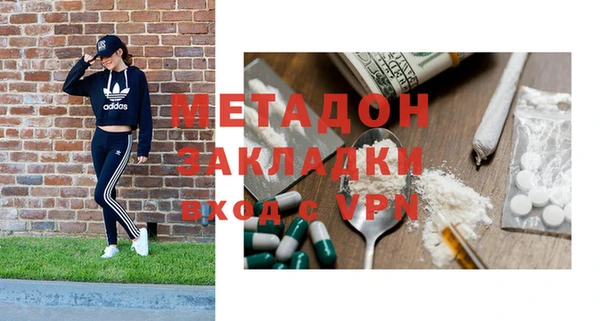 прущие грибы Белокуриха