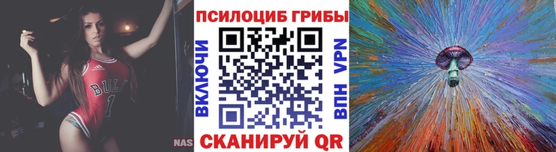 Купить где  Киселёвск  Псилоцибиновые грибы прущие грибы 